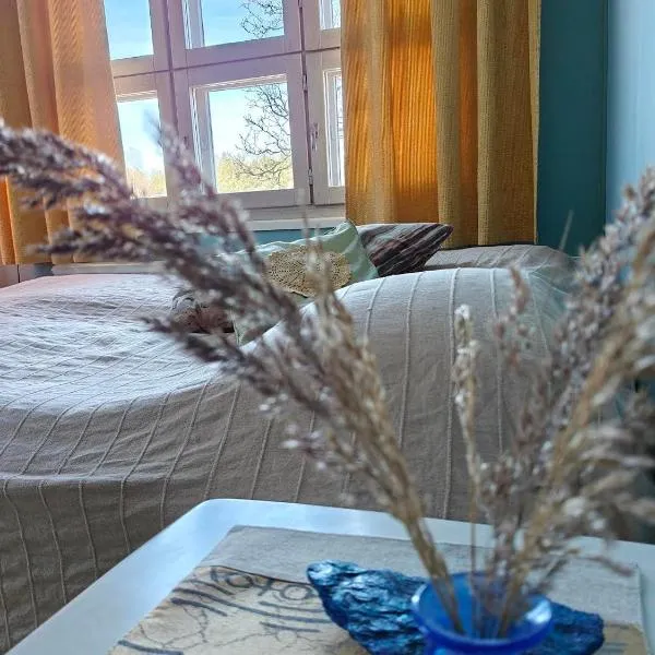 Kuohuvirran kartano，位于Numminen的酒店