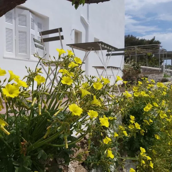 Dandelion Paros Apartments I-II，位于Kóstos的酒店