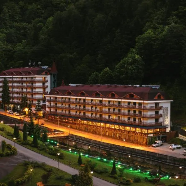 Sairme Hotels & Resorts,位于塞尔梅的酒店