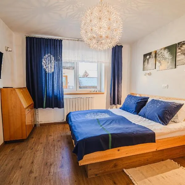 Apartment House Ančkin kot，位于采尔克尼察的酒店