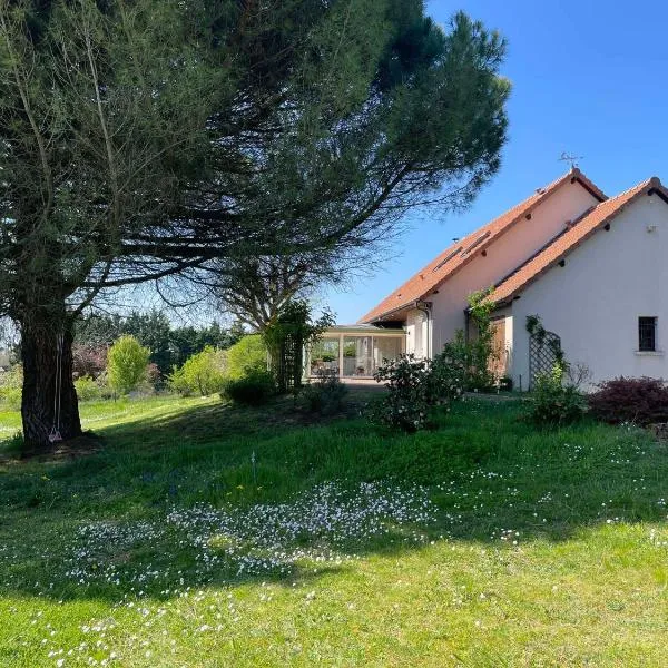 Des Roux et des Pious Suite de 35 à 60 m2 et 3 chambres pour groupe de 2 à 6 personnes，位于Civray-de-Touraine的酒店