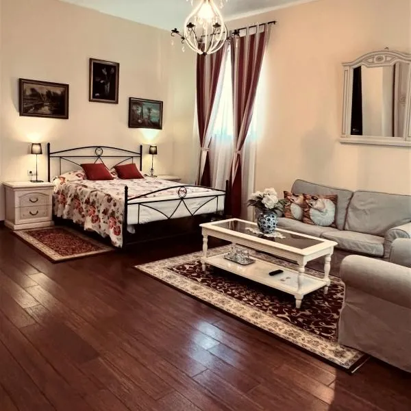 Park Villa - Boutique Hotel，位于蒂米什瓦拉的酒店