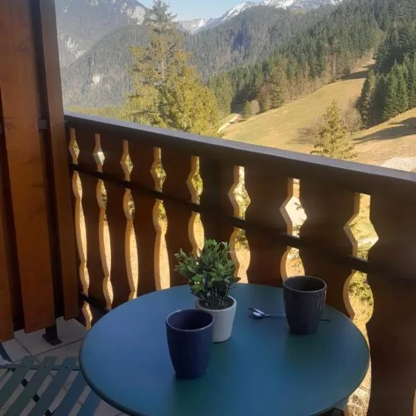 Appartement vu sur la montagne，位于Le Biot的酒店