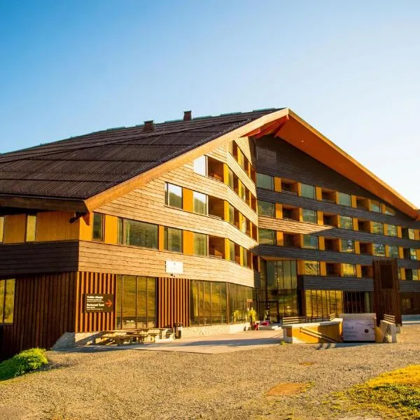 Myrkdalen Resort Hotel，位于米尔克河谷的酒店