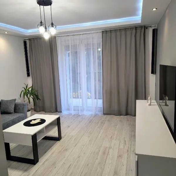 APARTAMENT Przy Rynku，位于萨诺克的酒店