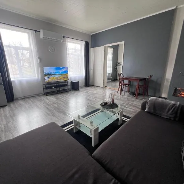 City Center Apartment，位于瓦尔加的酒店