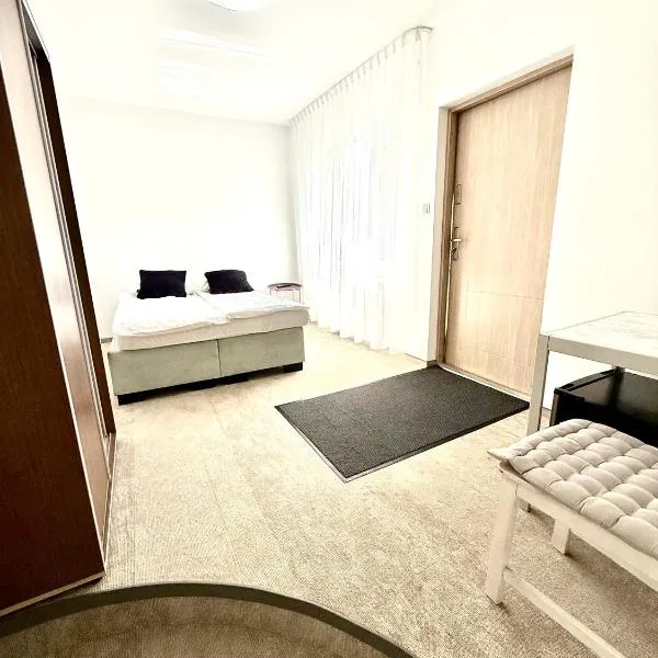 Apartamenty & Pokoje przy PLAŻY，位于梅尔诺的酒店