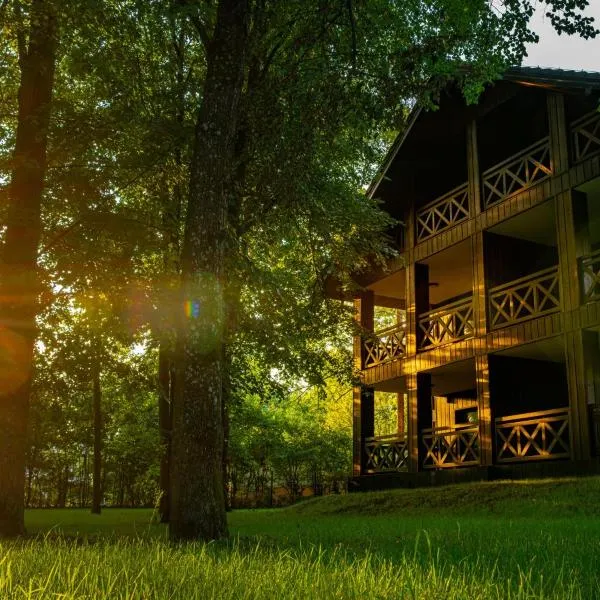 Villa Park Zwierzyniec，位于兹维日涅茨的酒店