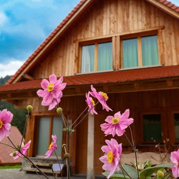 Dolomiti Village，位于Comeglians的酒店