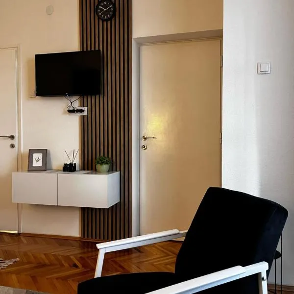 Apartman RISTIC，位于弗拉涅的酒店