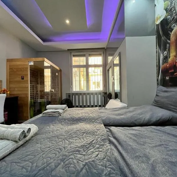 JohnGold Wellness Room，位于德布勒森的酒店
