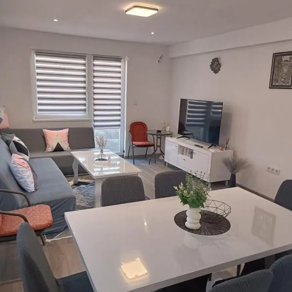 Apartman Zana，位于维索科的酒店