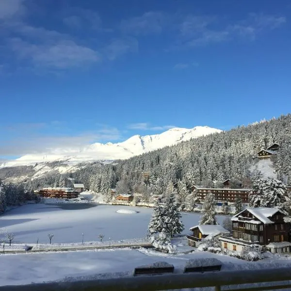 公园之家大酒店，位于克莱恩 蒙塔纳的酒店