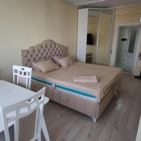 Central Double Budget Room Бюджетная комната для двоих в центре，位于基希讷乌的酒店