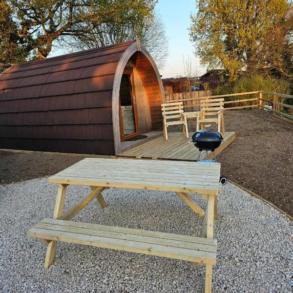 Bowdens Crest Glamping Pods -Adults Only，位于Aller的酒店