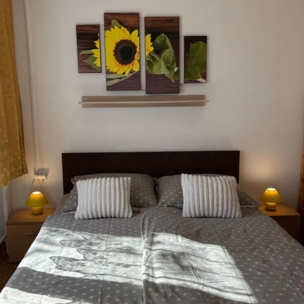 Apartmanovy dom Grand，位于什图罗沃的酒店