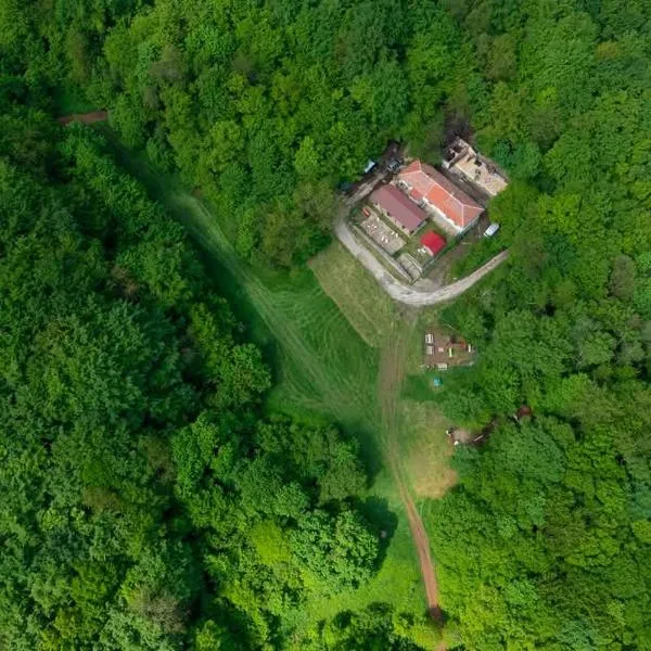 Bonsovi Poliani Hut (хижа Бонсови поляни)，位于Vladaya的酒店