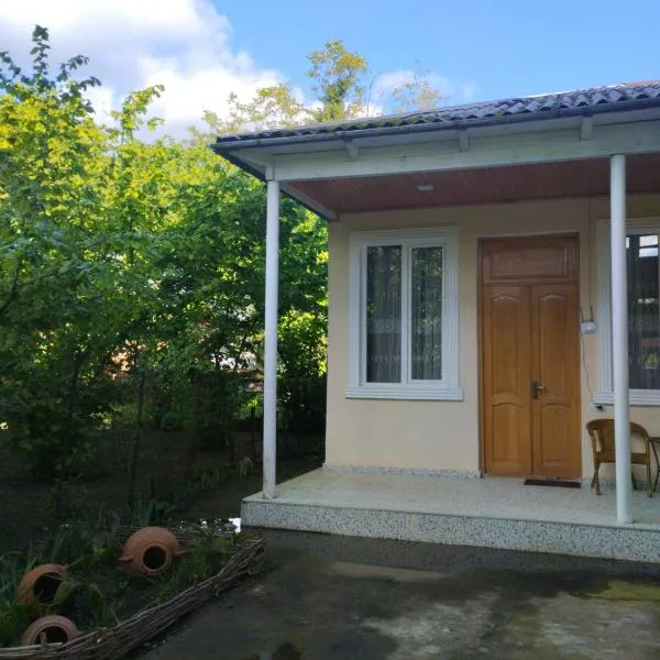BaBa guesthouse，位于马尔特维利的酒店