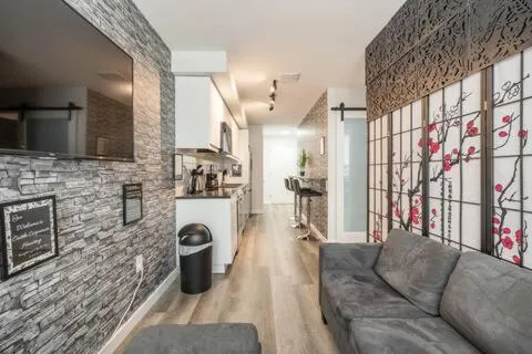 Gorgeous looking 2 bedroom Apt in downtown silverspring，位于银泉的酒店
