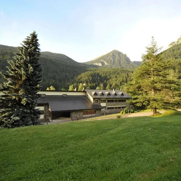 Hotel Els Avets，位于Sorpe的酒店