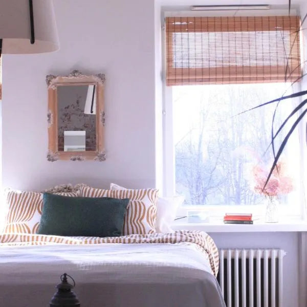 Sielukas asunto funkistalossa，位于Karkkila的酒店