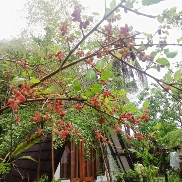Green cottage，位于Labuan Tring的酒店