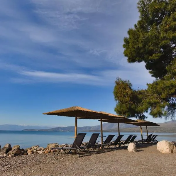 Kalafatis beach home，位于伊泰阿的酒店