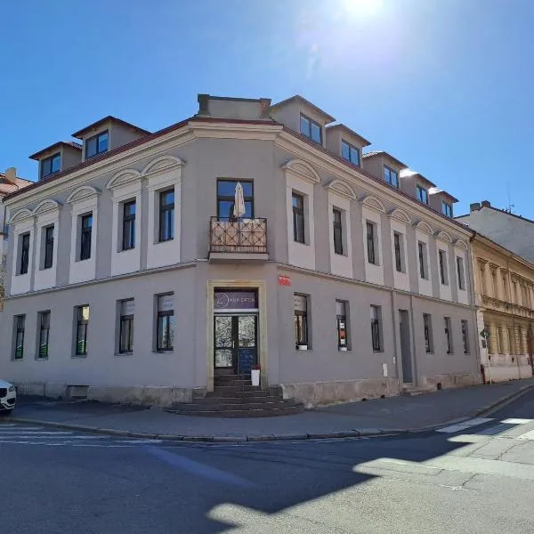 Ubytování Na Růžku，位于赫鲁迪姆的酒店