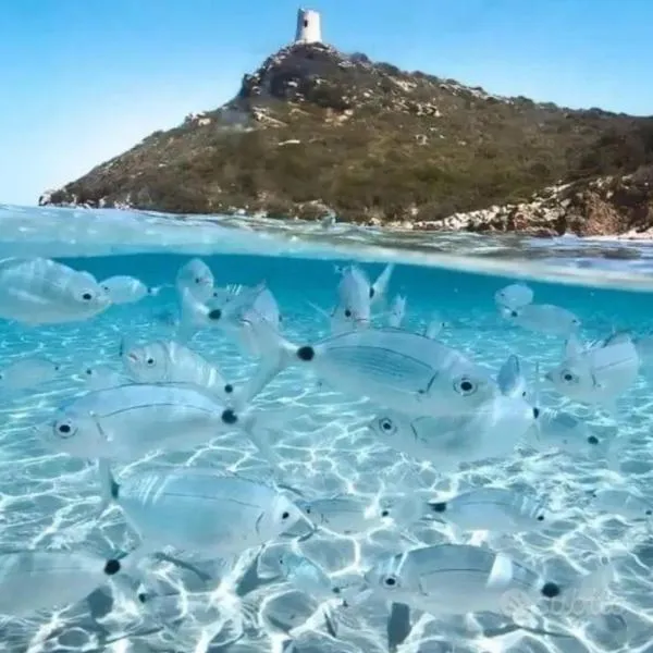 Hope House，位于维拉西米乌斯的酒店