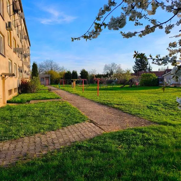 Fast apartment in the Tlmače，位于莱维采的酒店