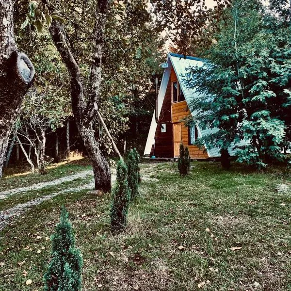 Cabañas Los Avellanos，位于Loncoche的酒店