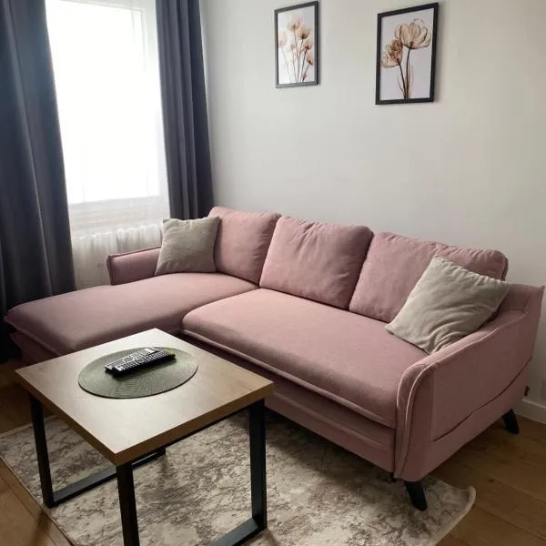 Apartament Mirka centrum，位于瓦尔米亚地区利兹巴克的酒店