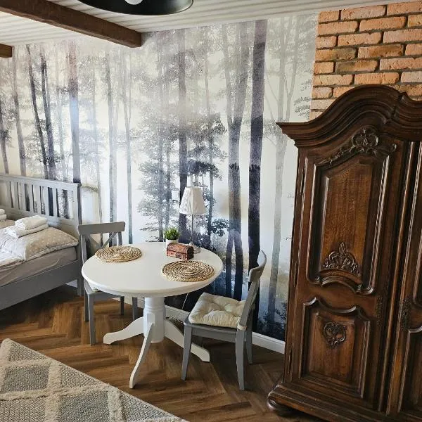 Apartament Leśny，位于扎莫希奇的酒店