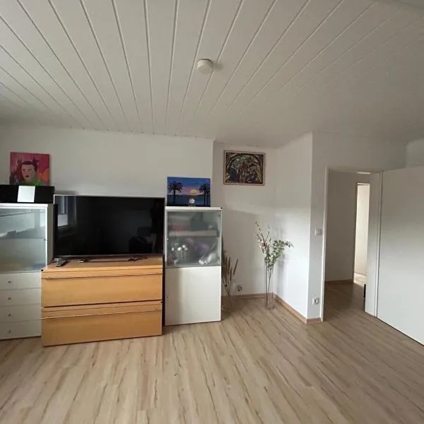 Apartment Michele，位于林根的酒店