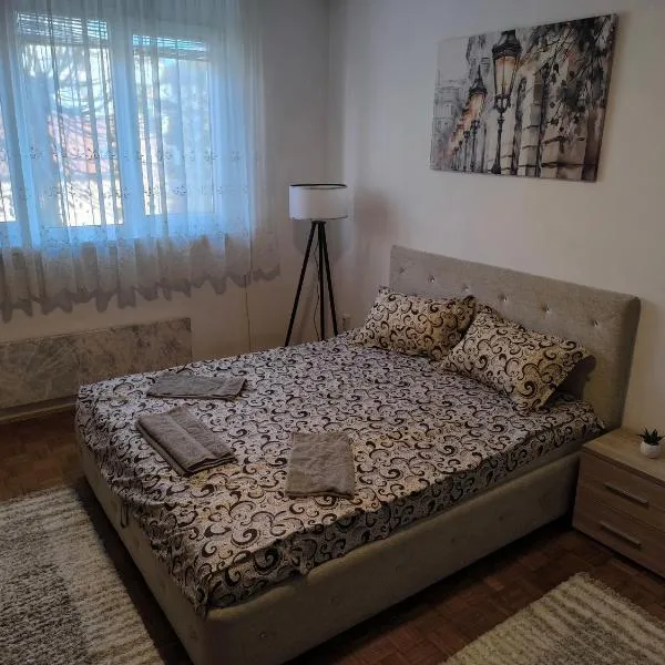 R & P Apartman Mladenovac，位于姆拉代诺瓦茨的酒店