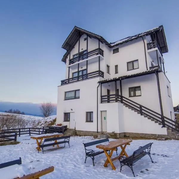 VILA LUCA-Hotel，位于锡尔内亚的酒店