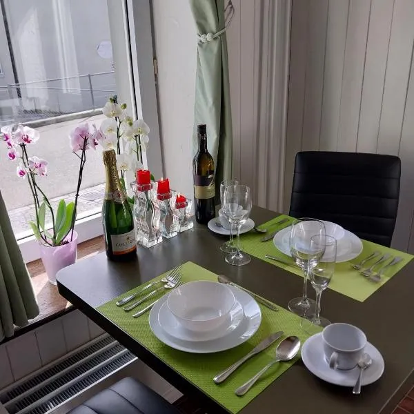 schickes gemütliches Studio，位于Bühler的酒店