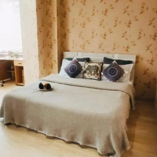 Home hearth - Домашний очаг，位于杜尚别的酒店