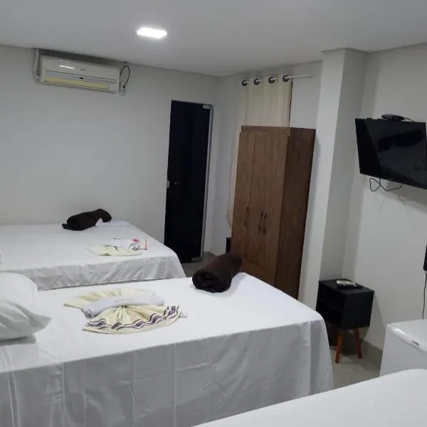 Hotel Serrano，位于帕拉卡图的酒店