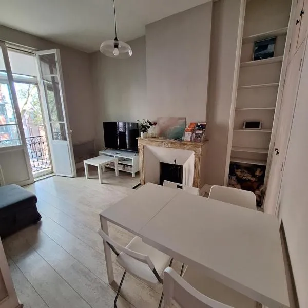 Appartement Pont des Catalans,位于图卢兹的酒店