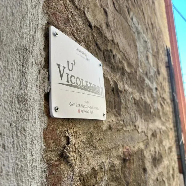 Agropoli loft 23，位于阿格罗波利的酒店