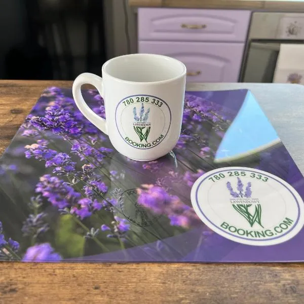 Apartament Lawendowy，位于斯卡日斯科-卡缅纳的酒店