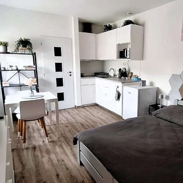 Pretty private Apartment U LABE, self-service check-in 24 l 7，位于Neratovice的酒店