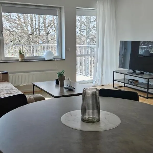 Elme Apartment 1，位于韦克舍的酒店