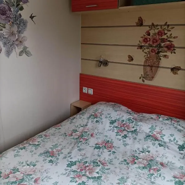 Mobil-home emplacement 3，位于Le Chesne的酒店