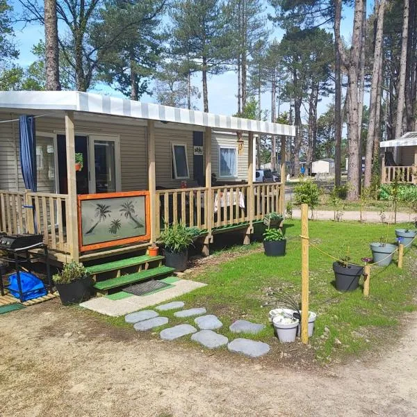 MOBIL - HOME 2 6p Bois de Bayadene，位于滨海皮里亚克的酒店