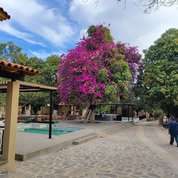 Hotel Cabañas de los Angeles，位于特基拉的酒店