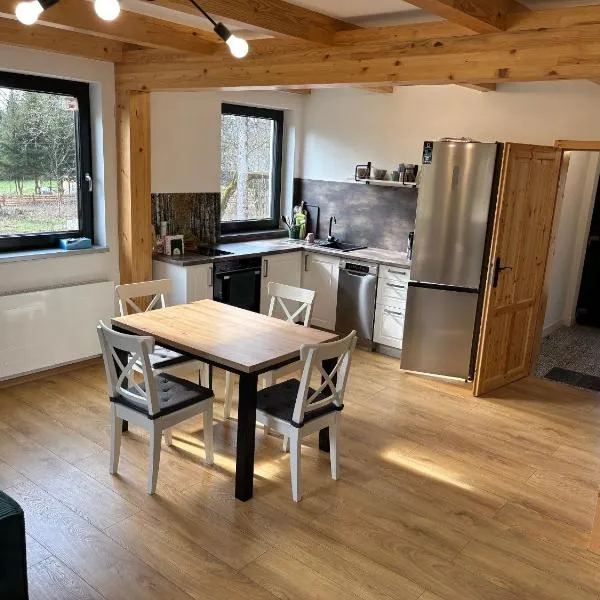 Apartmány Camping Český les，位于Lesná的酒店