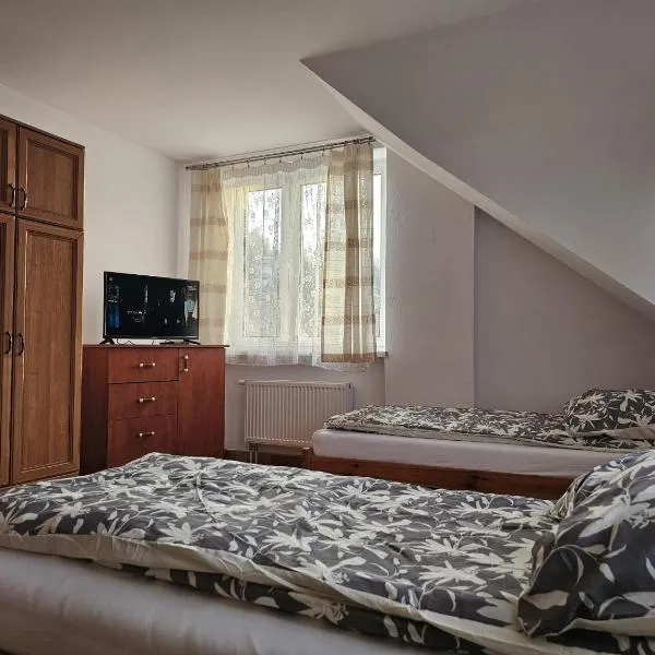 Swiss Hostel，位于Lubenia的酒店