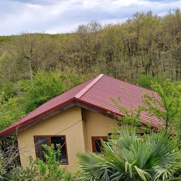 Yellow villa Fani，位于辛尼莫雷特的酒店